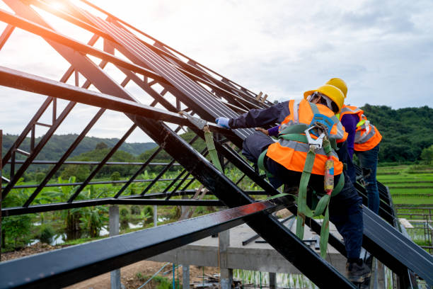 Best Roof Gutter Cleaning  in Terrell Hills, TX