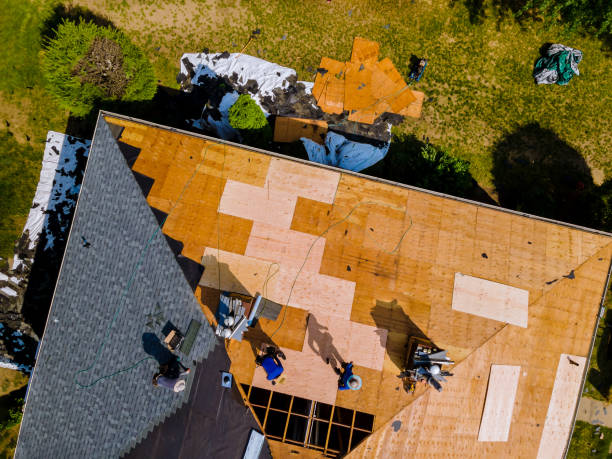 Best Roof Waterproofing Services  in Terrell Hills, TX