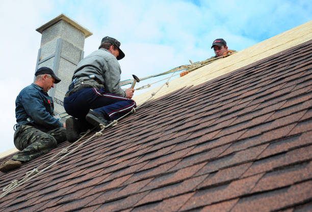 Best Storm Damage Roof Repair  in Terrell Hills, TX